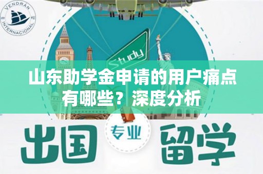 山东助学金申请的用户痛点有哪些？深度分析