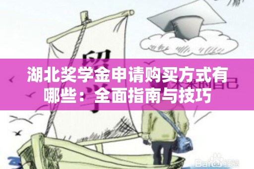 湖北奖学金申请购买方式有哪些：全面指南与技巧