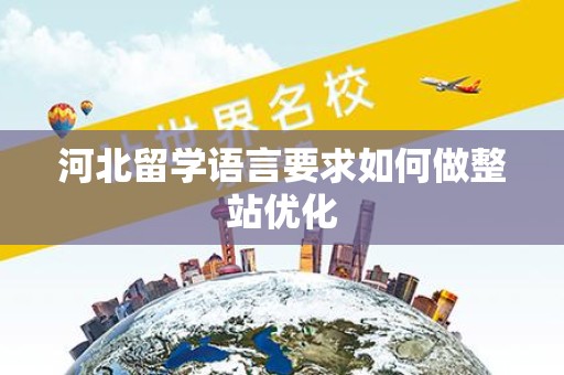 河北留学语言要求如何做整站优化