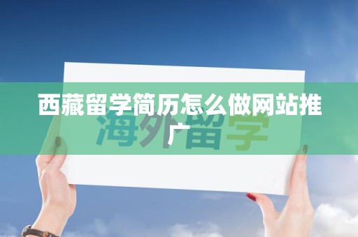 西藏留学简历怎么做网站推广