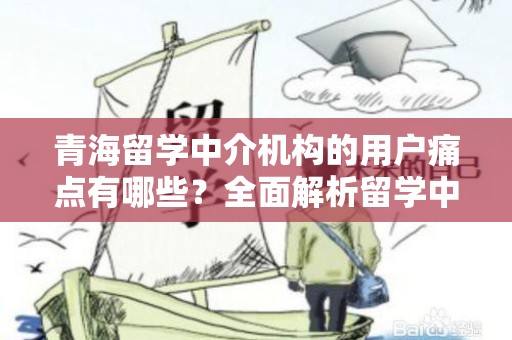 青海留学中介机构的用户痛点有哪些？全面解析留学中介的挑战与解决方案