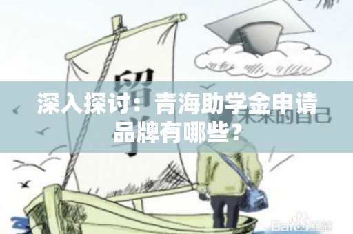 深入探讨：青海助学金申请品牌有哪些？