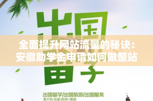 全面提升网站流量的秘诀：安徽助学金申请如何做整站优化