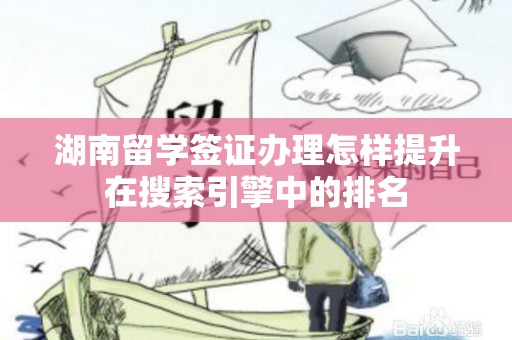 湖南留学签证办理怎样提升在搜索引擎中的排名