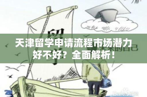 天津留学申请流程市场潜力好不好？全面解析！