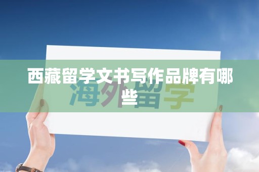 西藏留学文书写作品牌有哪些