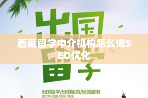 西藏留学中介机构怎么做SEO优化