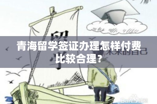 青海留学签证办理怎样付费比较合理？