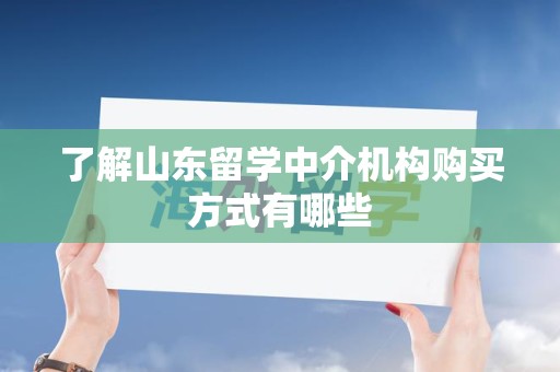 了解山东留学中介机构购买方式有哪些
