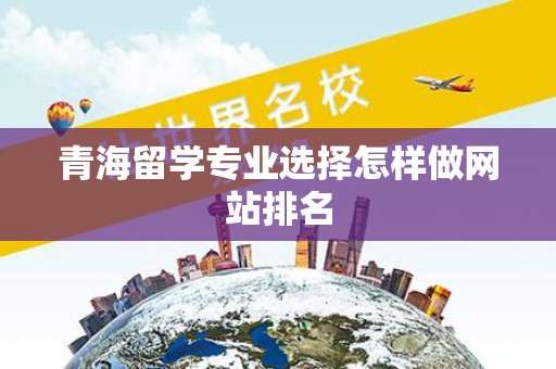 青海留学专业选择怎样做网站排名