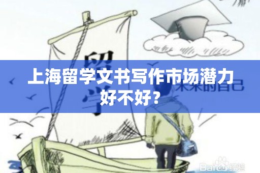 上海留学文书写作市场潜力好不好？
