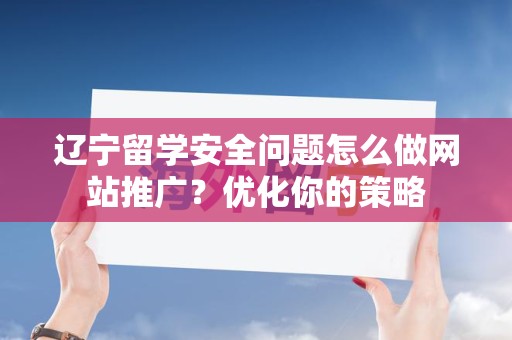 辽宁留学安全问题怎么做网站推广？优化你的策略