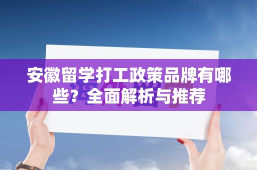 安徽留学打工政策品牌有哪些？全面解析与推荐