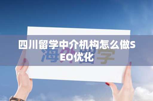 四川留学中介机构怎么做SEO优化