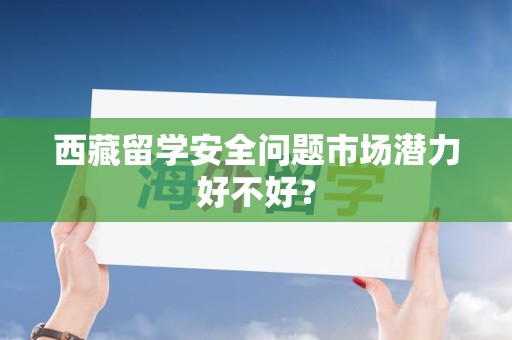 西藏留学安全问题市场潜力好不好？