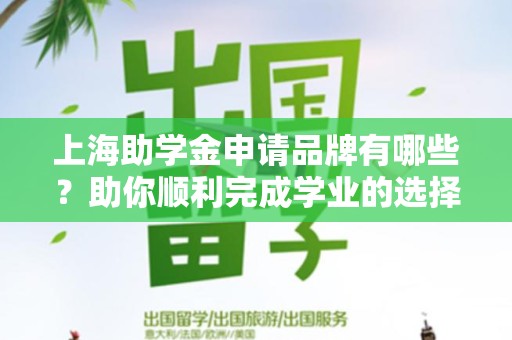 上海助学金申请品牌有哪些？助你顺利完成学业的选择