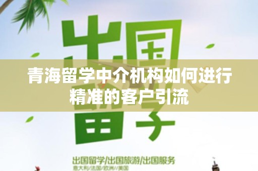 青海留学中介机构如何进行精准的客户引流