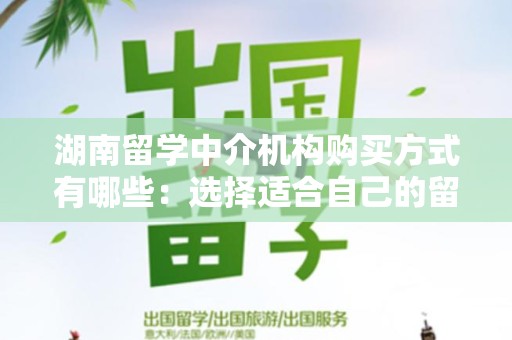 湖南留学中介机构购买方式有哪些：选择适合自己的留学申请渠道